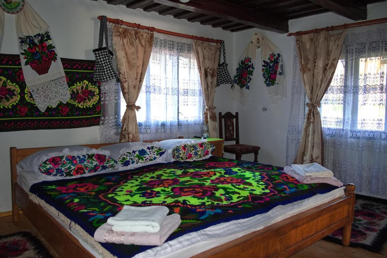La Rodica In Vale Guest House Ocna Sugatag Exterior photo