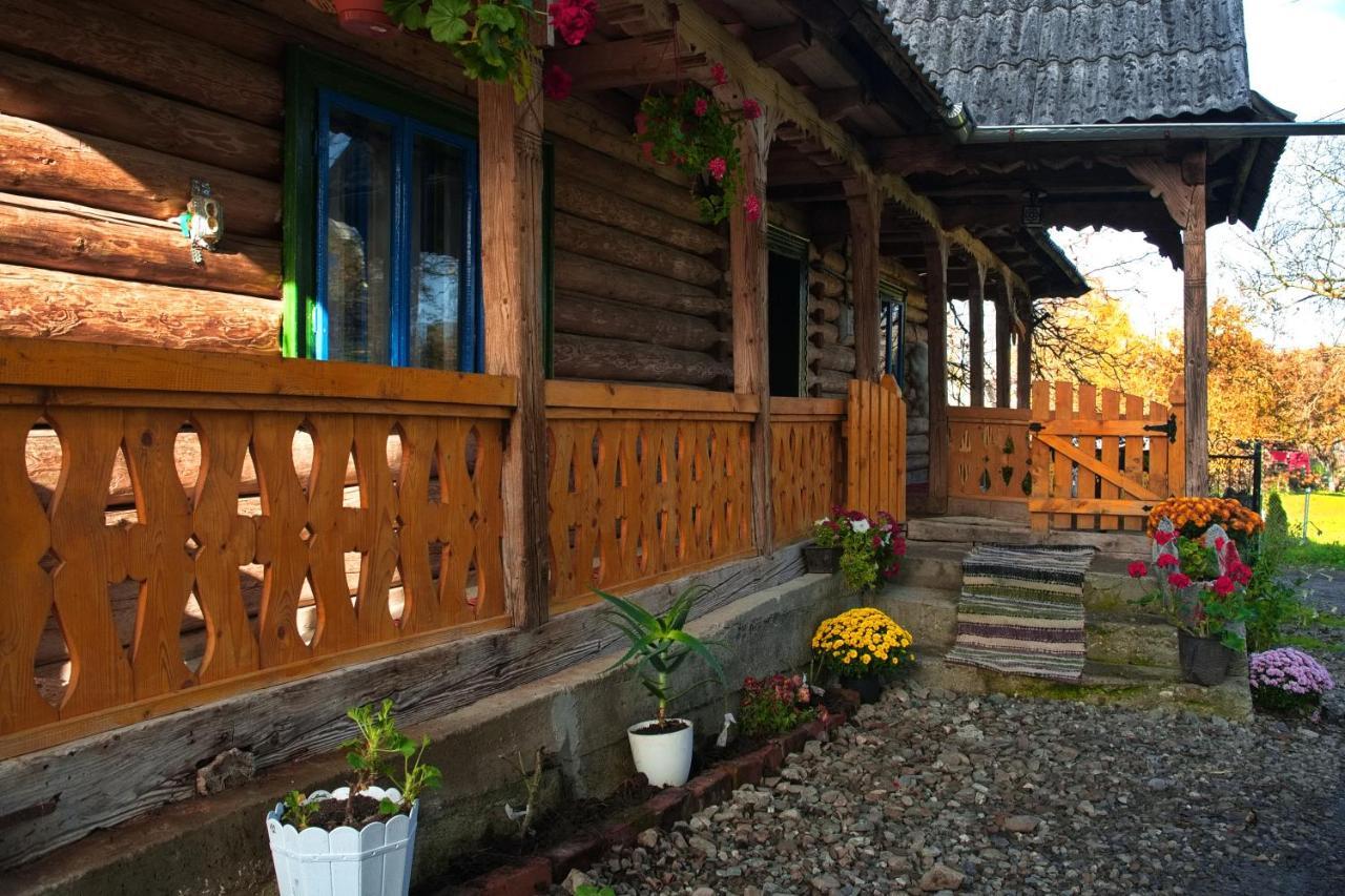 La Rodica In Vale Guest House Ocna Sugatag Exterior photo